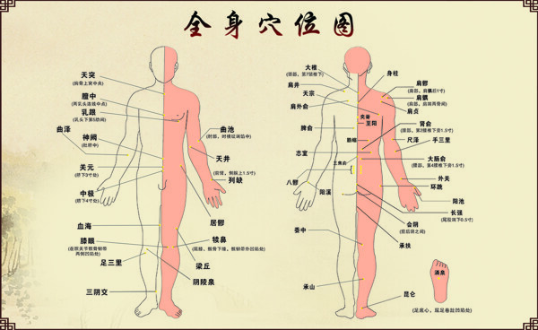 人的穴位有幾個?