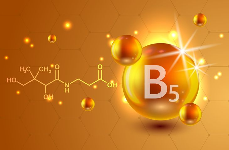 維他命 B5 是什麼