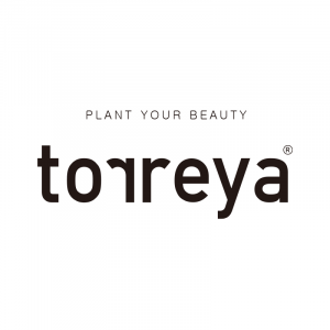 Torreya（韓國）
