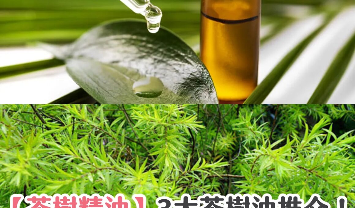 【茶樹精油】3大茶樹油推介！功效、用法及禁忌