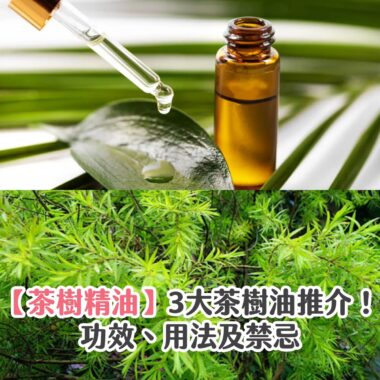 【茶樹精油】3大茶樹油推介！功效、用法及禁忌